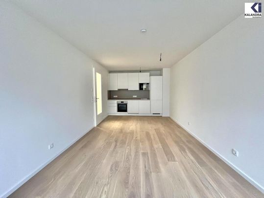 360° TOUR// NEUBAU-MIETWOHNUNG nahe SONNBERGMARKT - Foto 1
