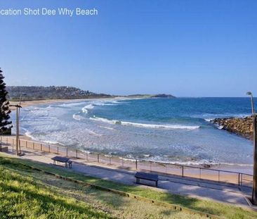 Dee Why - Photo 4