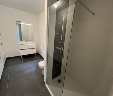 Appartement 2 pièces à Thionville - Photo 6