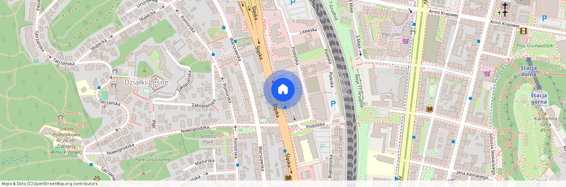 ul. Śląska, Działki Leśne, Gdynia, pomorskie