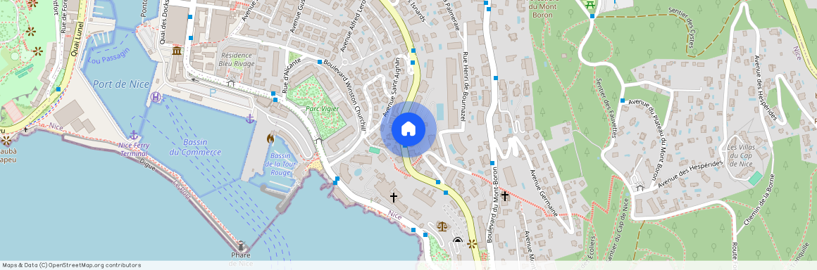 97 BD CARNOT, NICE MONT BORON