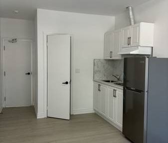 Condo/bachelor apartment in Toronto - Photo 2