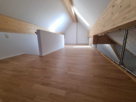 Erstvermietung nach Sanierung: Charmante Wohnung mit Galleriegeschoss - Foto 1