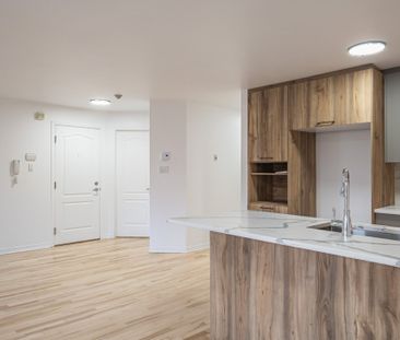 2511 Boul. De Maisonneuve E., H2K 2G3, H2K 2G3, Montréal - Photo 1