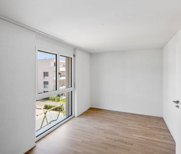 2.5 Zimmer, 51 m² - Photo 1