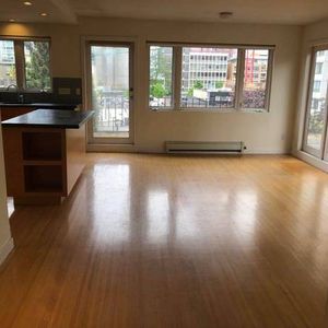 Penthouse -Pet Friendly-AVAILABLE Feb 1st-Furnished 3 BR@1540 Haro - Photo 2