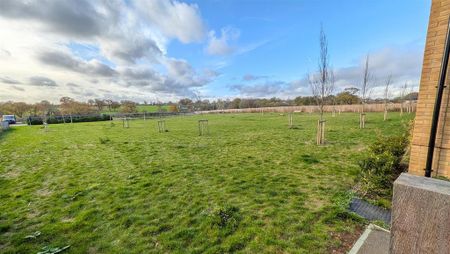 3 bedroom detached house to rent - Photo 4