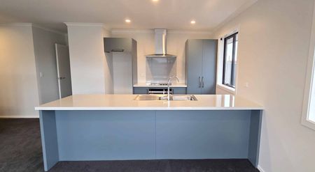 Be the first to enjoy this new build in Rockdale! - Photo 4