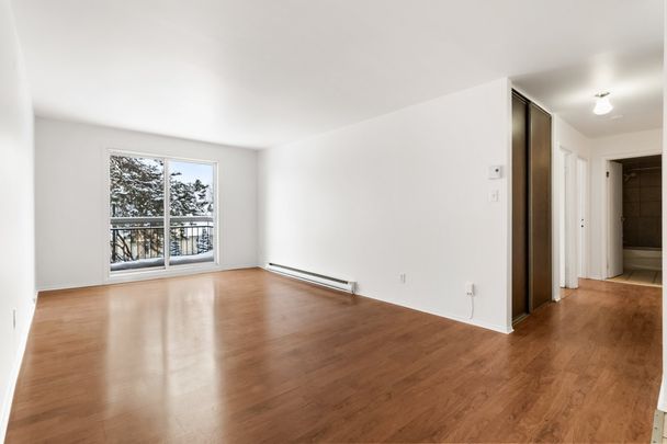 11565 Boul. de Pierrefonds, #319 - Photo 1