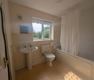 1 Beds - Apartment - - Photo 4