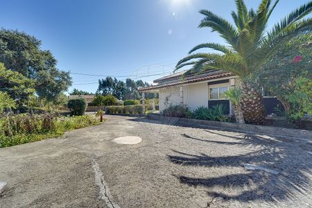 Moradia T3 em Aveiro - Photo 3