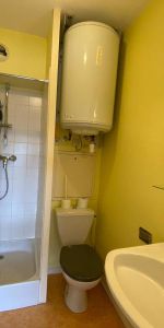 Location Appartement 1 pièce 19m² TOURS 37000 - Photo 3