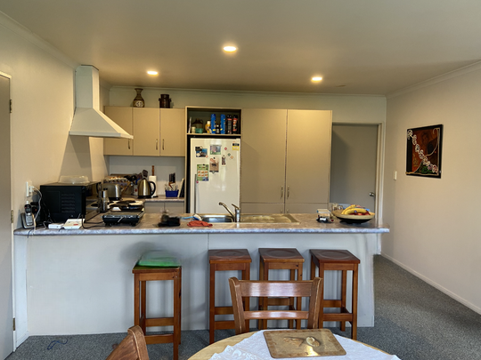 50a Te Aroha Street - Photo 1