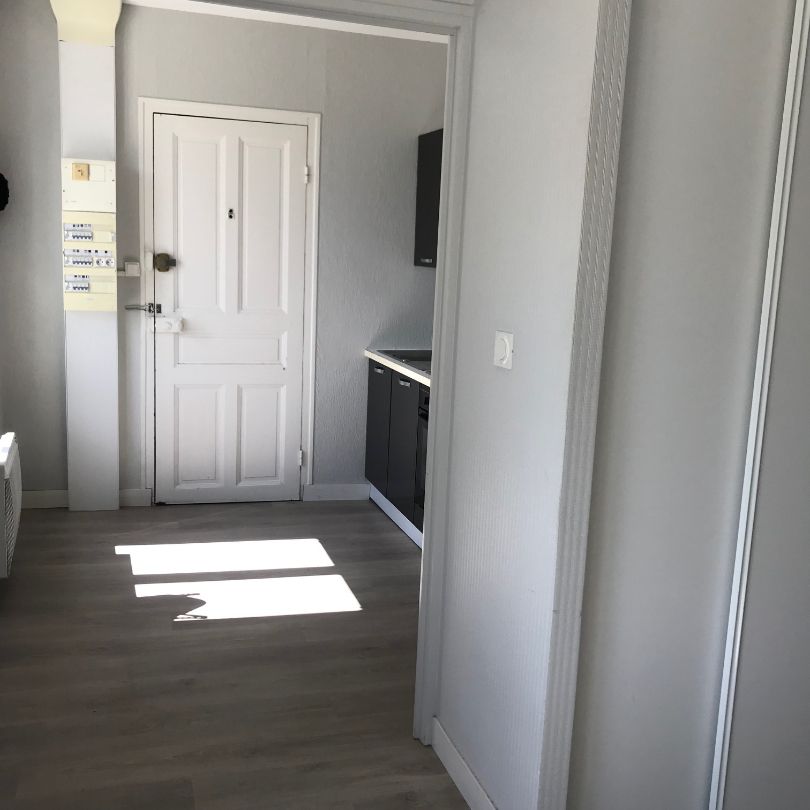 Location Appartement 1 pièce 22m² - Photo 1