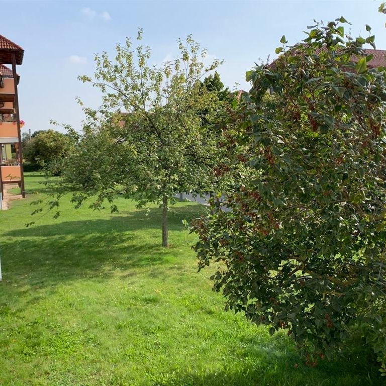 Tolle 2-Raum Wohnung in Gerichshain bei Machern! - Foto 1