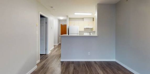 1 MONTH FREE - 1 Bed 1 Bath Apartment Available in Central Downtown - Photo 2