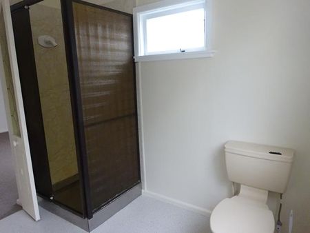 Clive Street, Akina - Photo 3