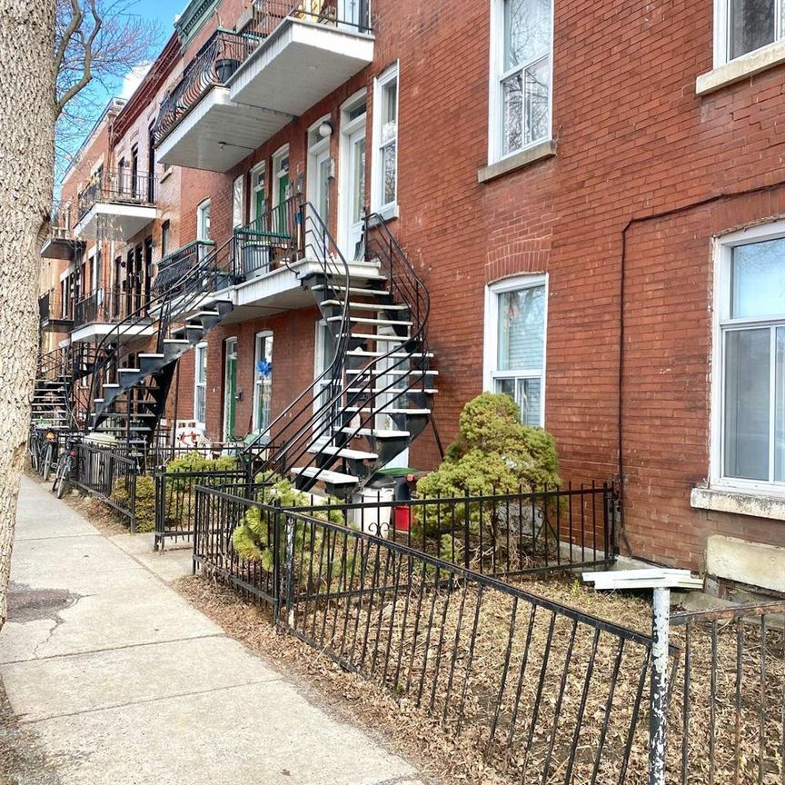 Appartement Montréal (Rosemont/La Petite-Patrie) À Louer - Photo 1