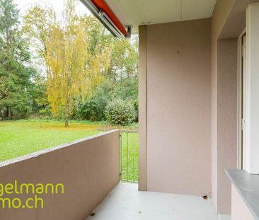 3-room apartment with balcony / 3-room apartment with balcony - Foto 5