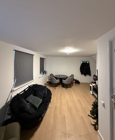 Te huur: 1-kamer appartement aan de Nieuwe Haagdijk in Breda - Photo 2