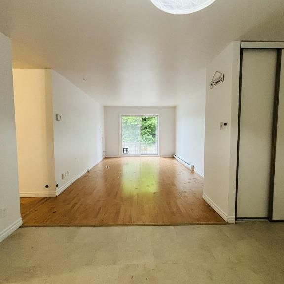 Appartement 4 ½ à louer Lévis juillet 2026 - Photo 1