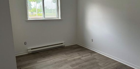 1 CH - 1 SDB - Gatineau - $1,250 /mo - Photo 2