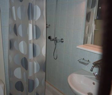 Location appartement studio 1 pièce 20 m² à Rodez (12000) Camonil - Photo 3