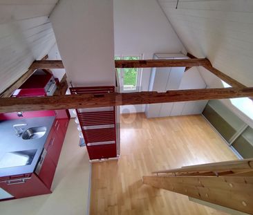 LICHTDURCHFLUTET AN RUHIGER LAGE - Photo 4