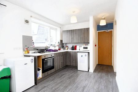 Hill Park Crescent, Flat 3, Plymouth - Photo 4