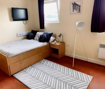 Deluxe Studio - Photo 1