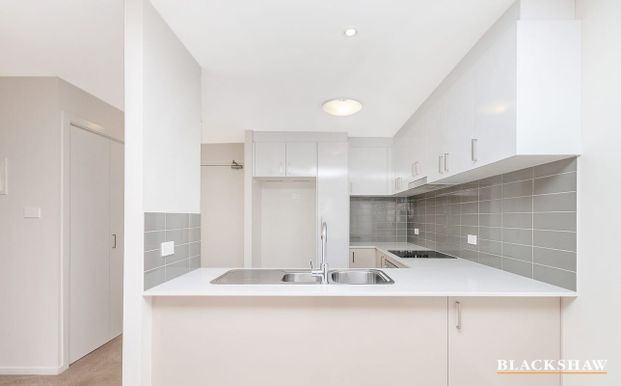 41/170 Flemington Road, Harrison ACT 2914 - Apartment For Rent | Domain - Photo 1