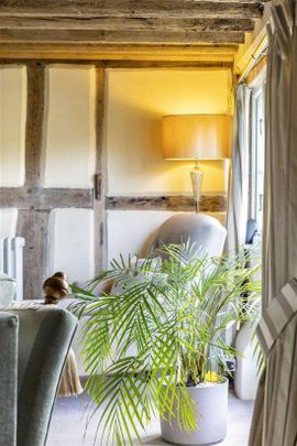 Norley Lane, Shamley Green, GU5 - Photo 1