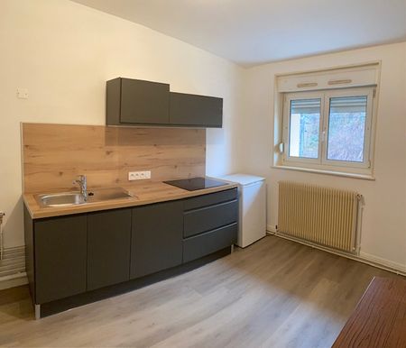 Location Appartement 2 pièces 30m² REMIREMONT 88200 - Photo 5