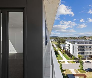 Modern living in the heart of Tuggeranong! - Photo 1