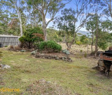 Wonderful cottage in bush setting - Photo 5