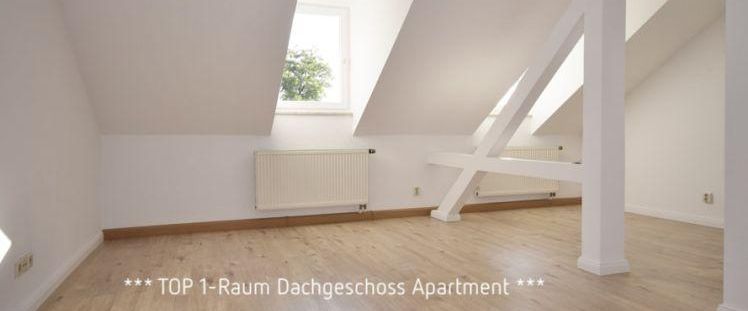 Dachgeschoss • Kaßberg • 1 Raum Apartment • Bad mit Dusche • neues Laminat • zur Miete - Photo 1