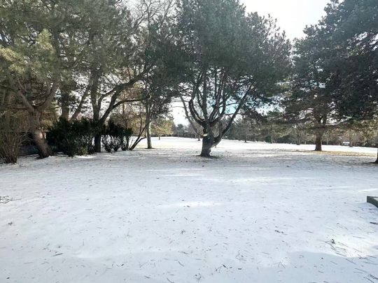 For Lease - 17 Fairway Heights Crescent Unit# Bsmt, Markham, Ontario - Photo 1