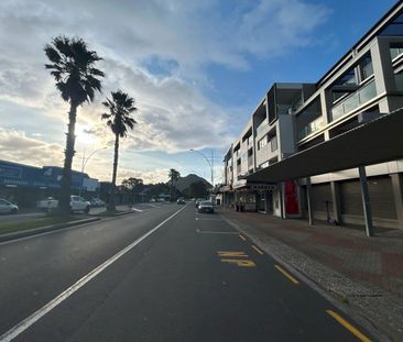 Conveniently Situated - Mt Maunganui - Photo 3