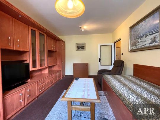 Pronájem bytu 1+1 Uherský Brod - Rychtalíkova - Фото 1