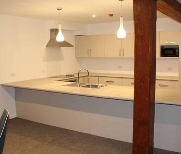 Executive Apartment - Avail December 2025 - Photo 3