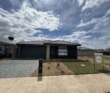 BRAND NEW FOUR BEDROOM HOME ! - Photo 4