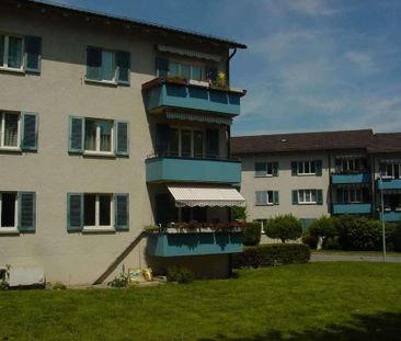 Befristet im Grünen in Zürich-Altstetten - Photo 6
