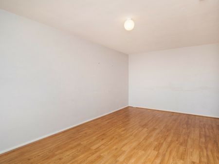 Large and Lovely Apartment with pool and security! - Photo 2