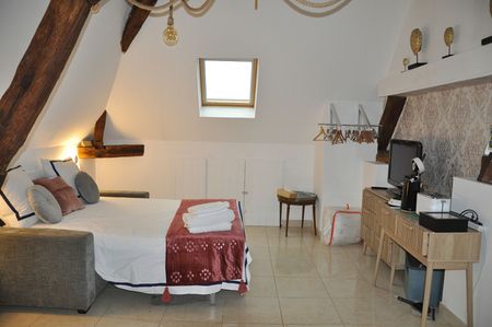 Location Appartement 1 pièce 18m² - Photo 3