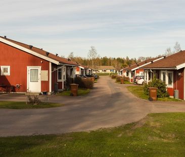 Hästhovsgatan 8 B - Foto 3