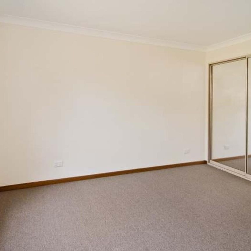 10/12 Adelphi Road, Marsfield NSW 2122 - Villa For Rent | Domain - Photo 1