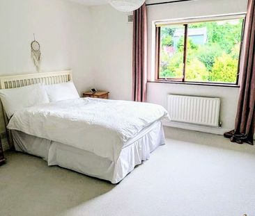 17 Alma Park, Monkstown, Blackrock, Co. Dublin - Photo 2