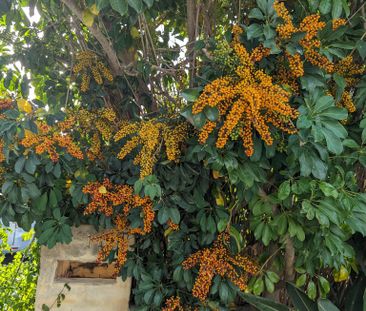 Churchlands - Photo 1