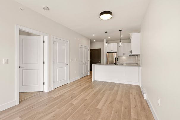 YEARLING - 201 - YE201 - Photo 1