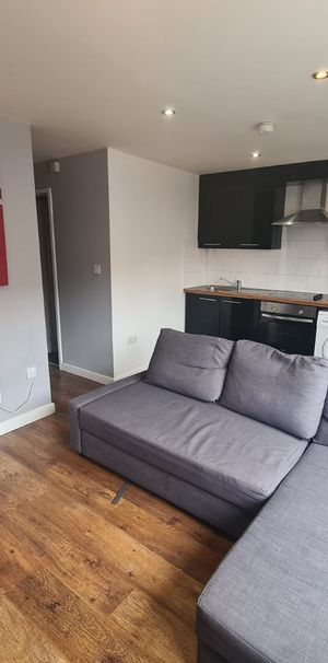 1 Bed - 55 Woodsley Road (GF), Hyde Park, Leeds - LS6 1SB - Student/Professional - Photo 1